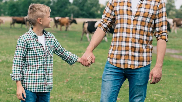 父と農場で手を繋いでいる笑顔の息子のクロップ撮影 — ストック写真