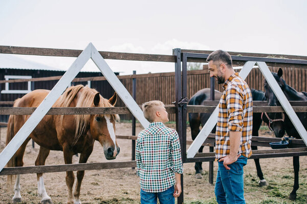 back view of father and son smiling each other while standing near horses at ranch