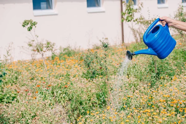 Oříznutý Snímek Osoby Zalévání Květiny Zahradě — Stock fotografie