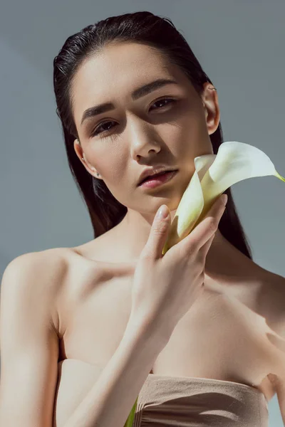 Tender Asian Young Woman Calla Flower Isolated Grey — Free Stock Photo