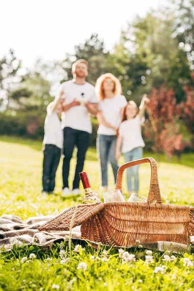 Piknik Sepeti Park Arkasında Duran Aile Yakından Görmek — Stok fotoğraf