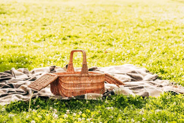 Vedere Aproape Coș Picnic Carouri Gazon Verde Parc — Fotografie, imagine de stoc