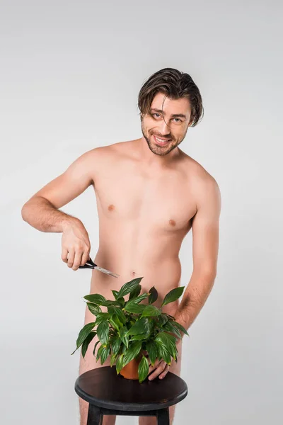 Sorrindo Homem Com Tesoura Atrás Planta Verde Vaso Cadeira Isolado — Fotografia de Stock