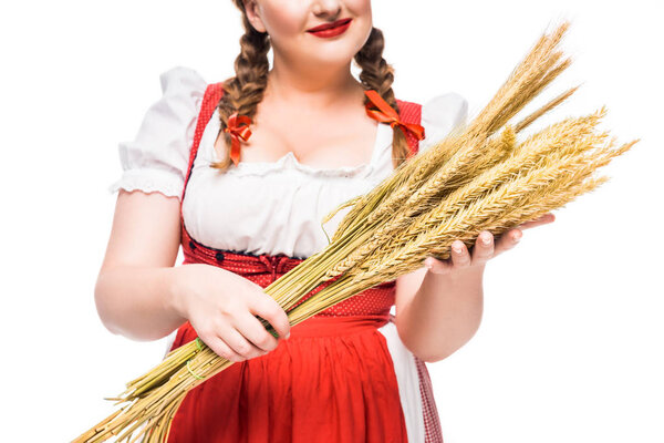 cropped image of oktoberfest waitress in traditional bavarian dress holding wheat ears isolated on white background