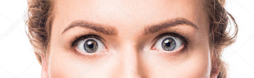 shocked grey female eyes looking at camera, isolated on white