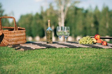 Gözlük, beyaz şarap, meyve ve hasır sepet üzerinde battaniye çimenlerin üzerinde piknik
