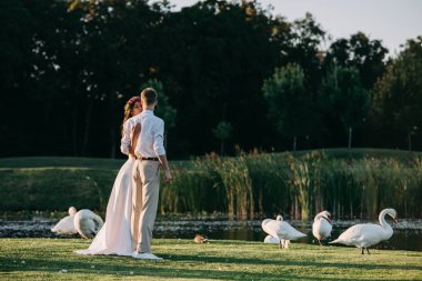 Romantik Genç düğün çifti ile güzel Kuğu Gölü yakınında yeşil çimenlerin üzerinde duran