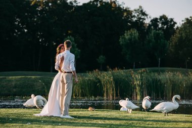 romantic young wedding couple standing on green grass near lake with beautiful swans clipart
