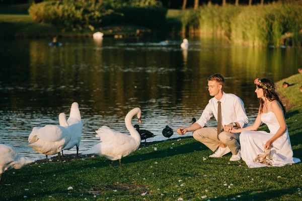 Happy Young Wedding Couple Feeding Swans Park — Stock Photo, Image