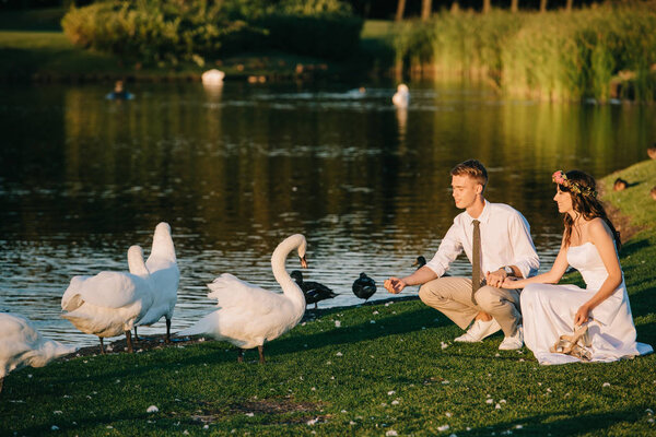 happy young wedding couple feeding swans in park  