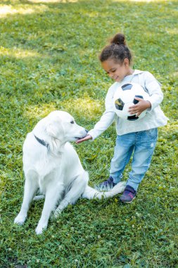 çok güzel Afro-Amerikan çocuk parkta köpek ve holding futbol topu palming