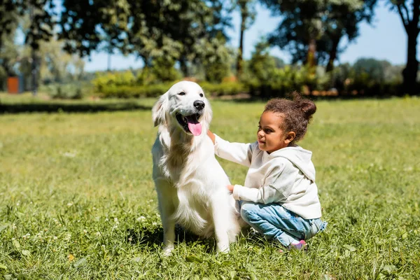 Adorável Afro Americano Criança Palming Cão Parque — Fotografia de Stock