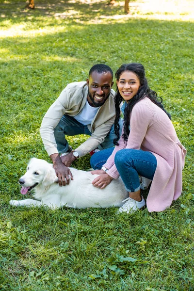 Sorrindo Casal Afro Americano Agachando Perto Golden Retriever Parque — Fotografia de Stock