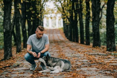 yakışıklı adam ile sonbahar park husky köpek