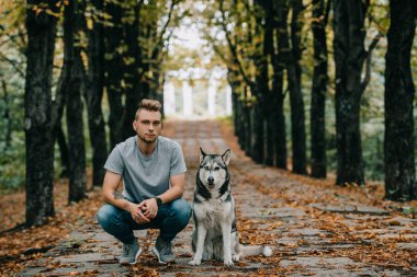 delikanlı ile sonbahar park husky köpek