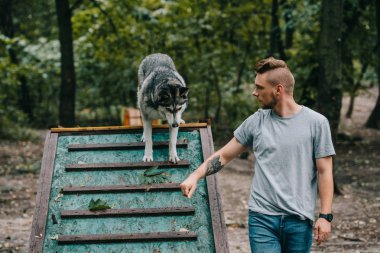 husky köpek yürüyüş engel çeviklik davasının Tarih ile Cynologist