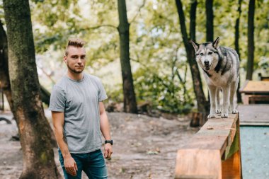 çeviklik eğitmen husky köpek yürüyüş engel Tarih ile 