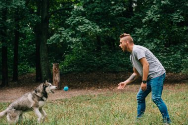 Genç adam husky köpek park için topu atma
