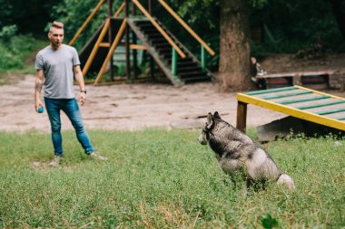 cynologist training with siberian husky dog clipart