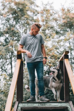 eğitmen siberian dış yapraklar ayakta merdivenlerde ile köpek