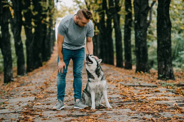 Hombre Con Perro Husky Siberiano Parque Otoño —  Fotos de Stock