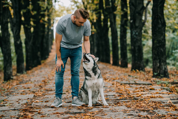 man with siberian husky dog in autumn park