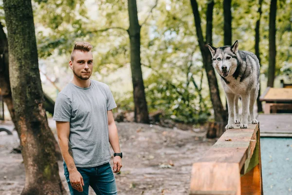 Entrenador Agilidad Con Husky Perro Paseo Obstáculo — Foto de Stock