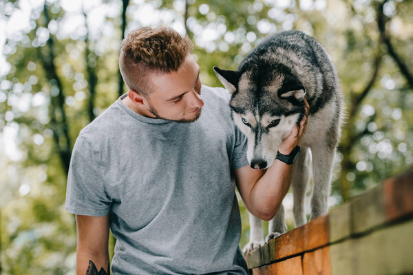 man with obedient husky dog on walk obstacle 