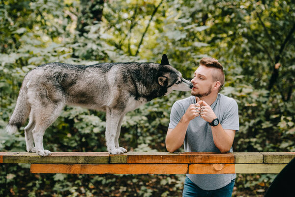 man with husky on dog walk obstacle in park
