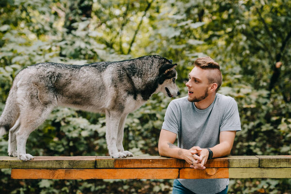 handsome man with husky on dog walk obstacle in park