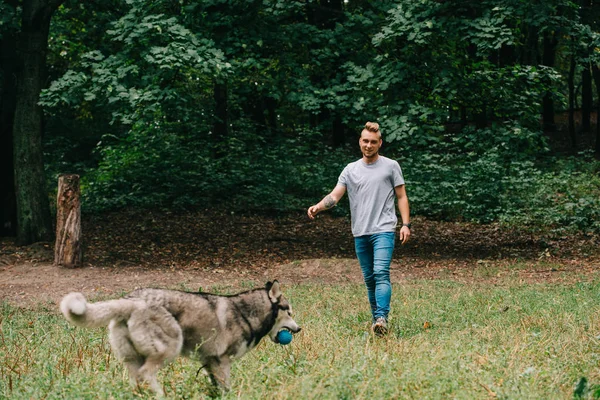 Homem Jogando Bola Com Amigável Cão Husky Parque — Fotografia de Stock