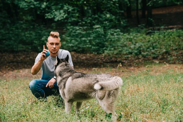 Jovem Homem Jogar Bola Com Husky Cão Parque — Fotografia de Stock