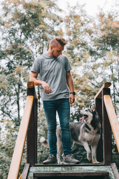 dog trainer with siberian husky standing on stairs