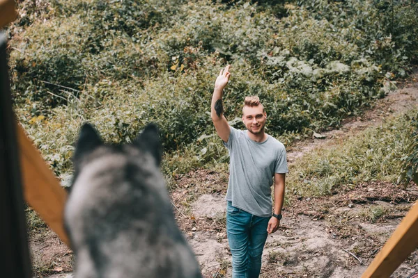 Selektywny Fokus Młodego Człowieka Psem Husky Syberyjski Parku — Darmowe zdjęcie stockowe