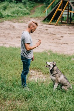 el hareketi ve otur komutu ile husky köpek eğitim cynologist