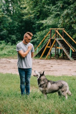 Cynologist eğitim itaat ile Sibirya husky köpek 