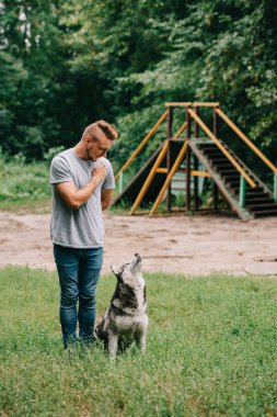 Cynologist eğitim itaat ile Park husky köpek