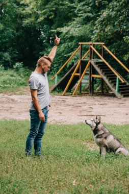 el hareketi ve itaatkâr husky köpek Park ile çalışan genç cynologist