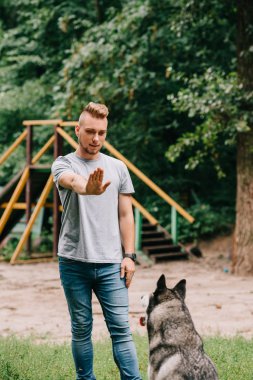 husky köpek parkta oturmak cynologist Eğitim Komutanlığı