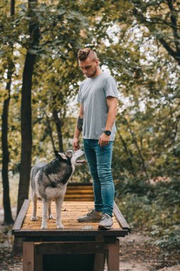 Genç cynologist eğitim Sibirya husky köpek yürüyüş engel üzerinde 