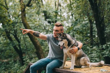 bir yere işaret eden adam parkta oturan cynologist ve Sibirya husky köpek