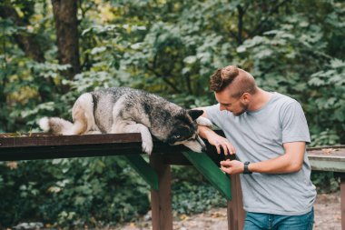 Sibirya husky köpek Park ile yakışıklı adam