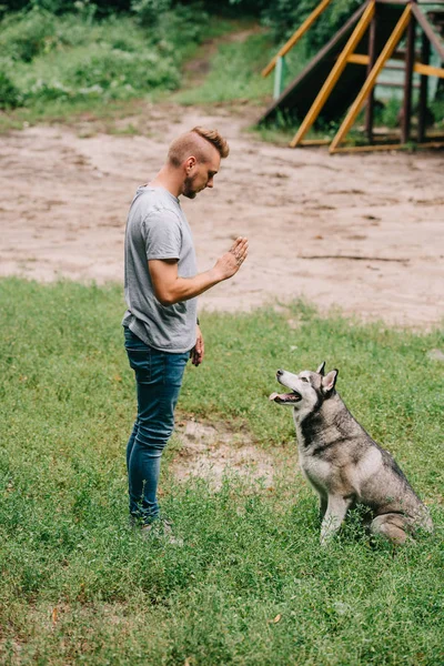 Cynologist Gesto Entrenamiento Sentarse Comando Con Husky Dog — Foto de Stock