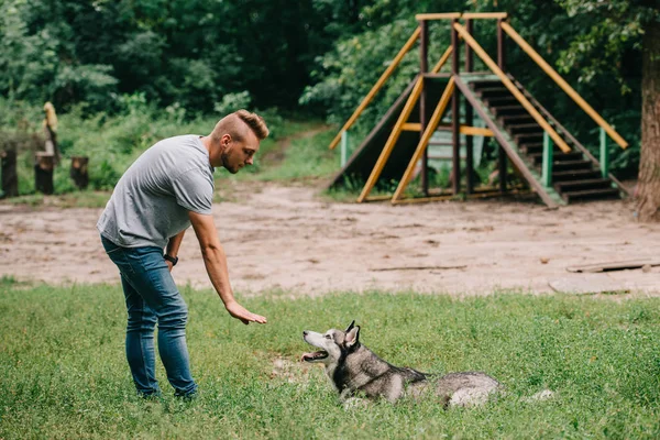 Kynolog Husky Psa Výcvik Ležící Příkaz Gestem Ruky — Stock fotografie