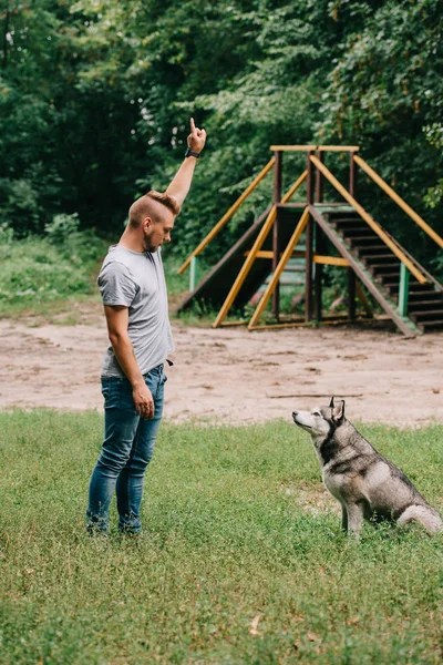 Jovem Cinologista Gesticulando Trabalhando Com Cão Husky Obediente Parque — Fotografia de Stock