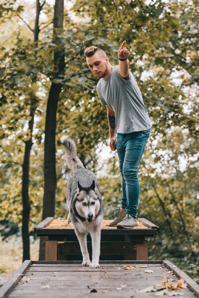 young cynologist with jumping husky on obstacle in park 