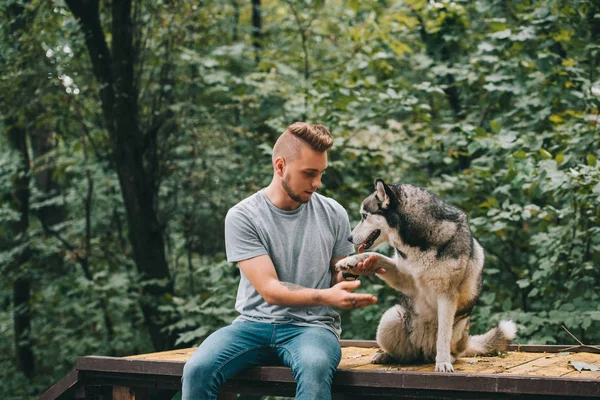 Przystojny Mężczyzna Trzyma Łapę Pies Posłuszny Siberian Husky — Zdjęcie stockowe