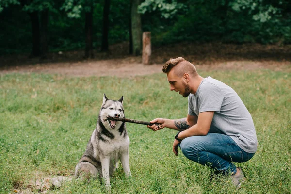 Kynolog Sibiřský Husky Psa Hrát Holí — Stock fotografie