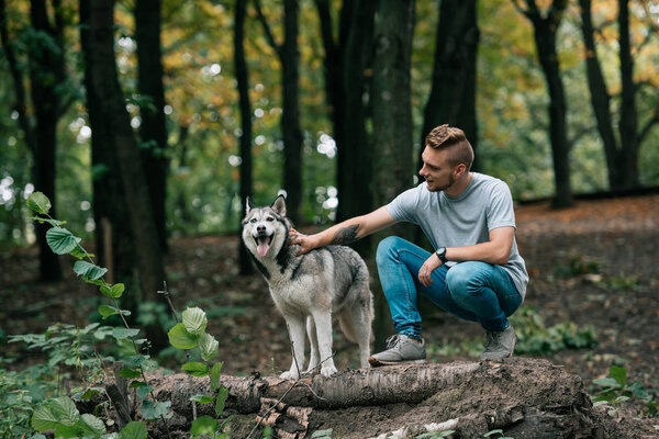 young man walking with husky dog in green forest