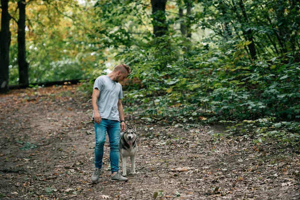 Young Man Walking Siberian Husky Dog Forest — Free Stock Photo